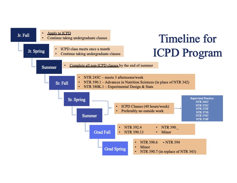 ICPD Timeline