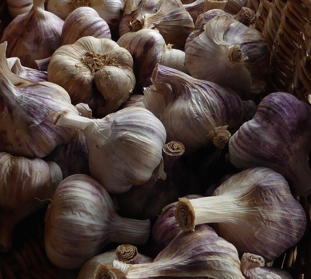 Garlic, a Food for Everyone